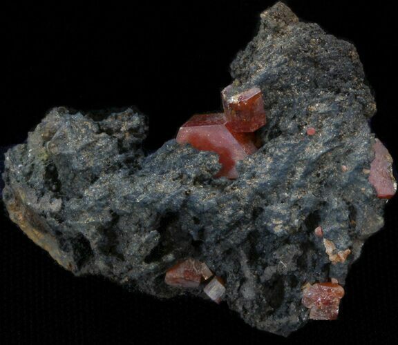 Red Vanadinite Crystals on Manganese Oxide - Morocco #38510